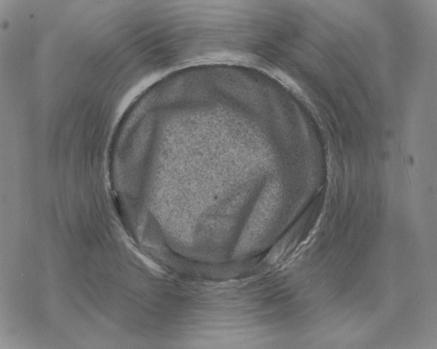 X0000071851230200607211844