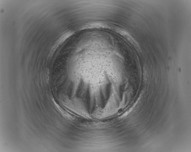 X0000071851233200607211844