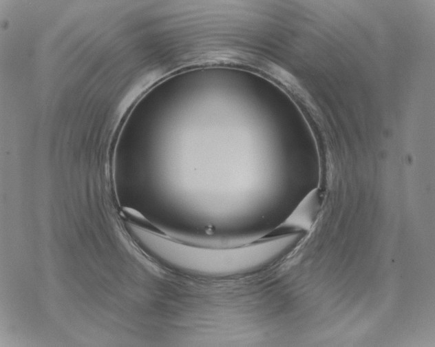 X0000071851234200607211844