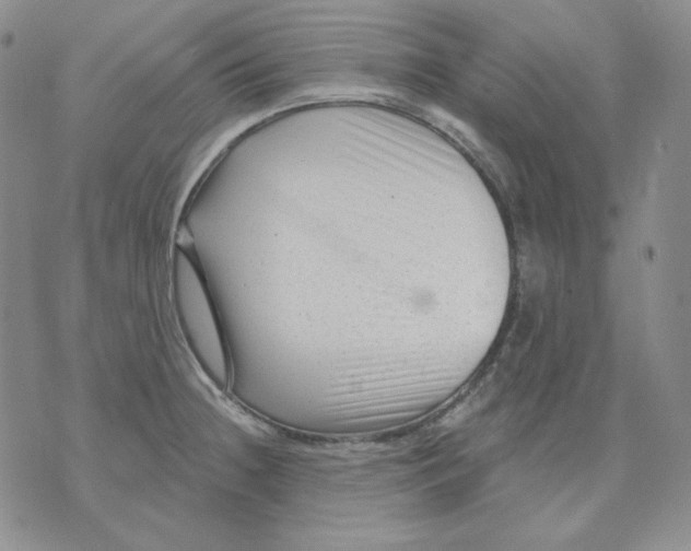 X0000071851236200607211844