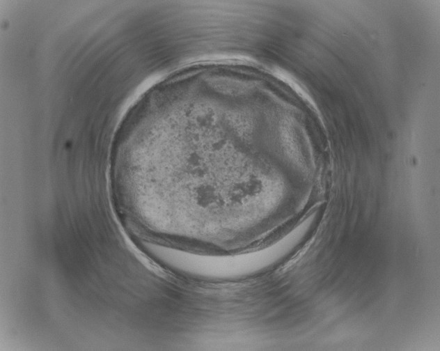 X0000071851237200607211844