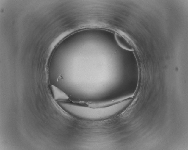 X0000071851238200607211844