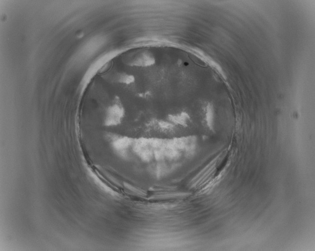 X0000071851239200607211844