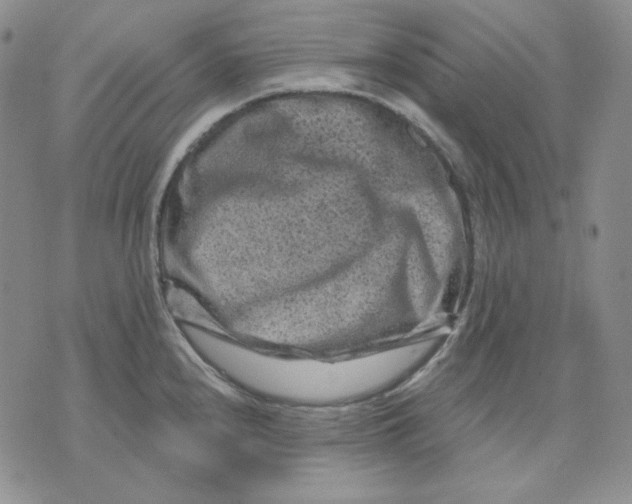 X0000071851240200607211844