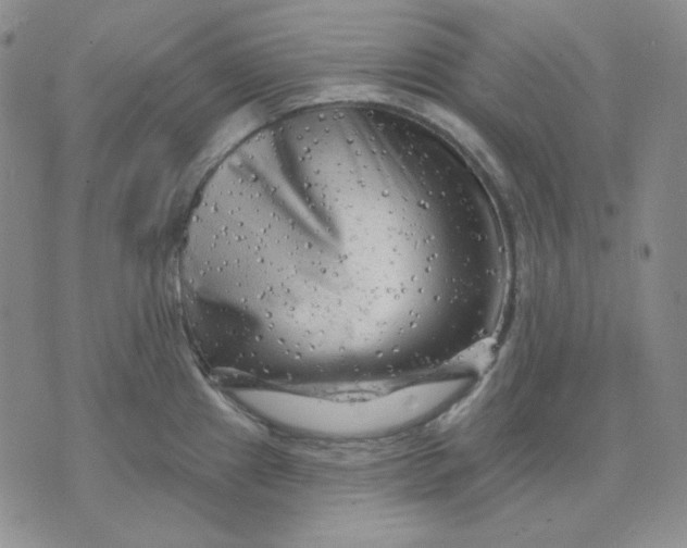 X0000071851241200607211844