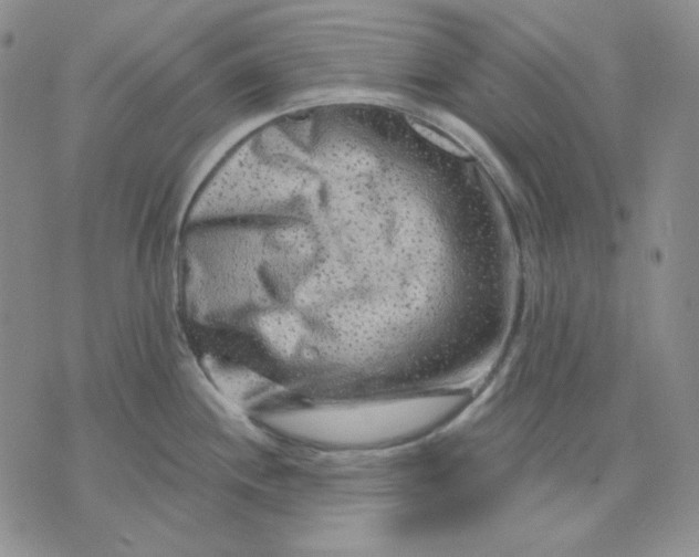 X0000071851244200607211844