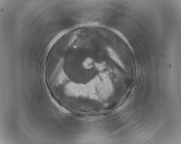 X0000071851245200607211844