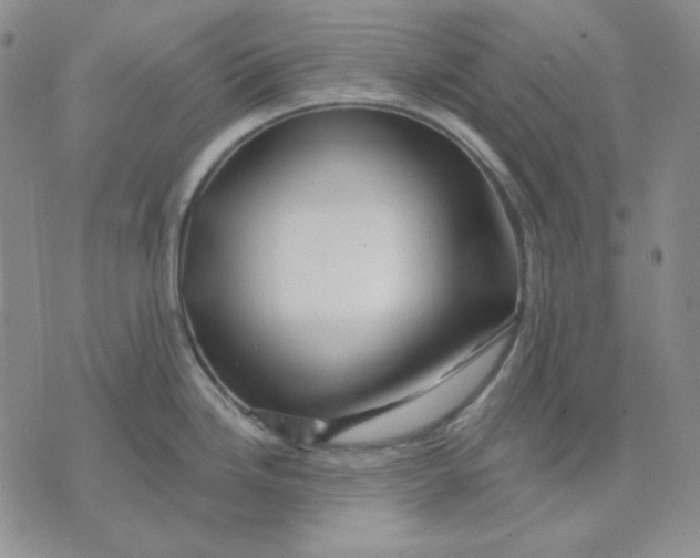 X0000071851246200607211844