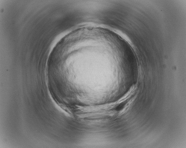 X0000071851247200607211844