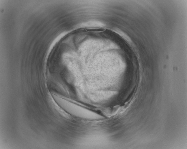 X0000071851248200607211844