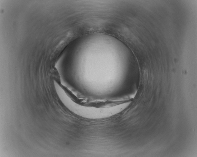 X0000071851250200607211843