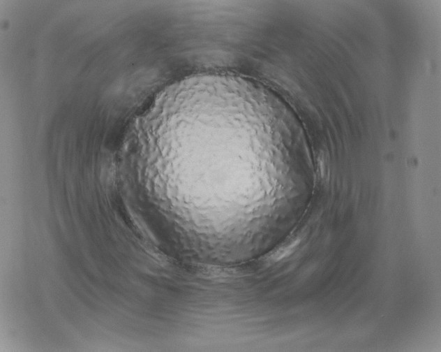 X0000071851251200607211843