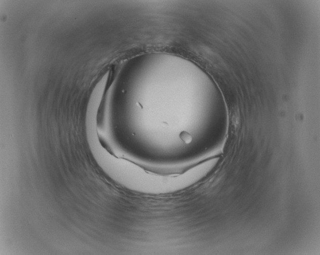 X0000071851252200607211843