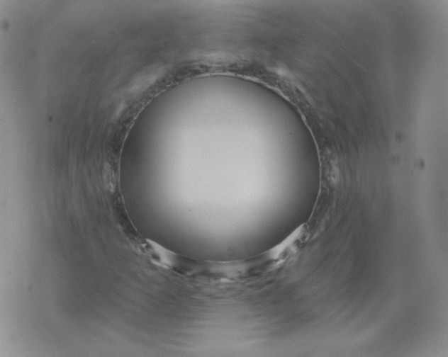 X0000071851253200607211843