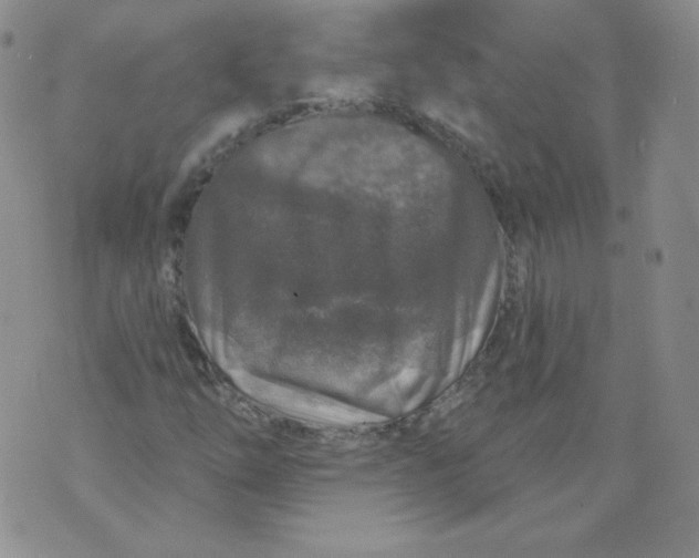 X0000071851254200607211843