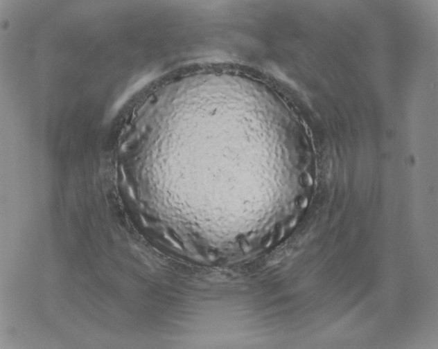 X0000071851255200607211843