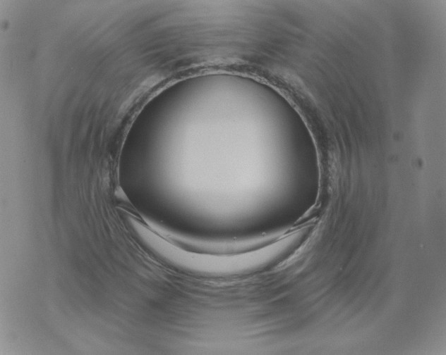 X0000071851257200607211843