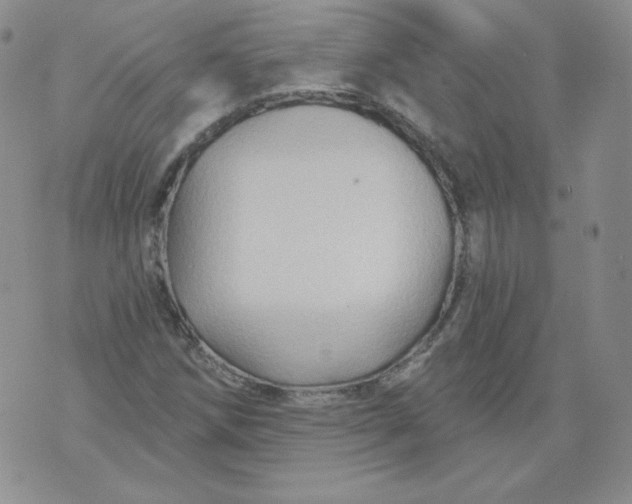 X0000071851258200607211843