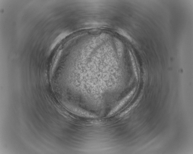 X0000071851259200607211843