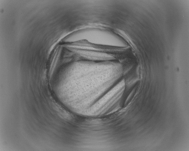 X0000071851260200607211843