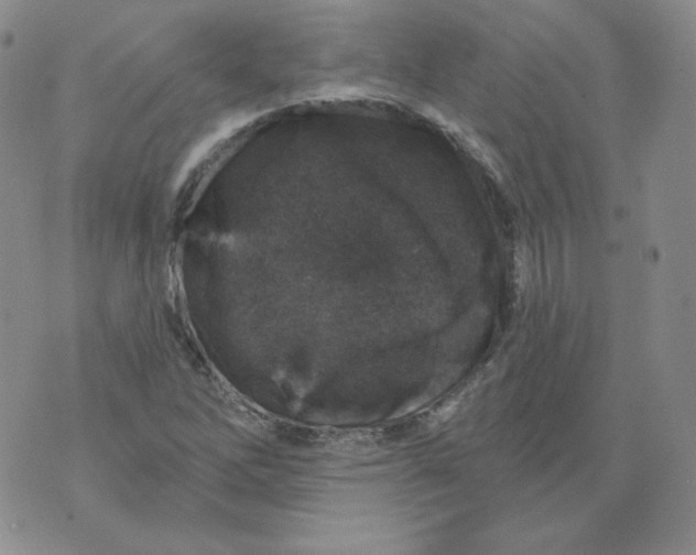 X0000071851262200607211843