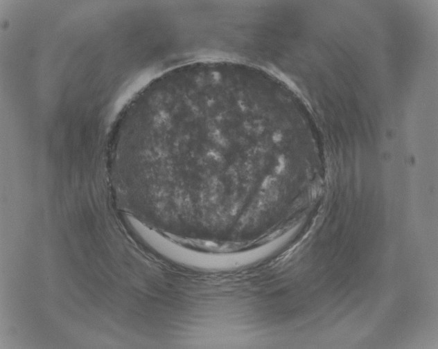 X0000071851263200607211843