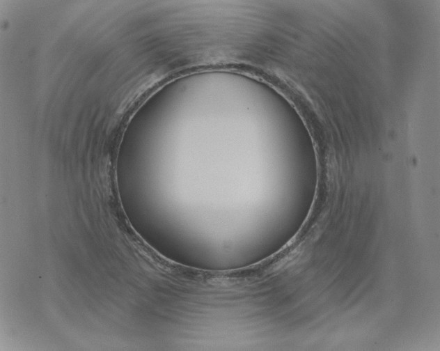 X0000071851265200607211843