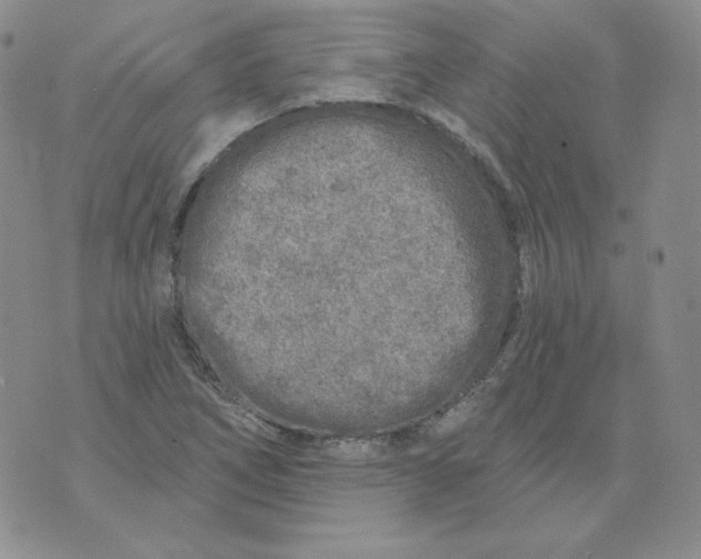 X0000071851266200607211843