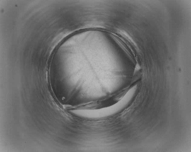 X0000071851268200607211843