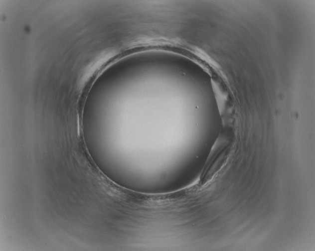 X0000071851269200607211843