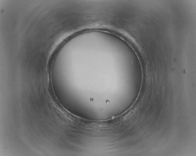 X0000071851270200607211843