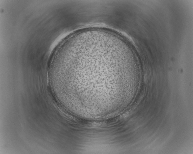 X0000071851271200607211843