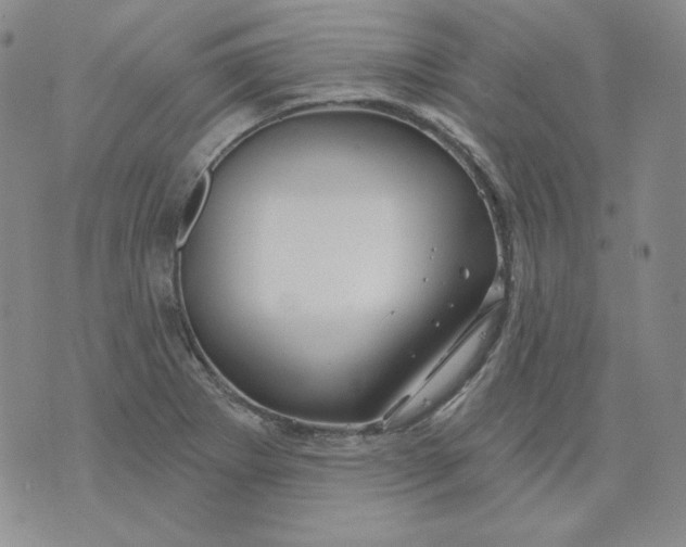 X0000071851273200607211843