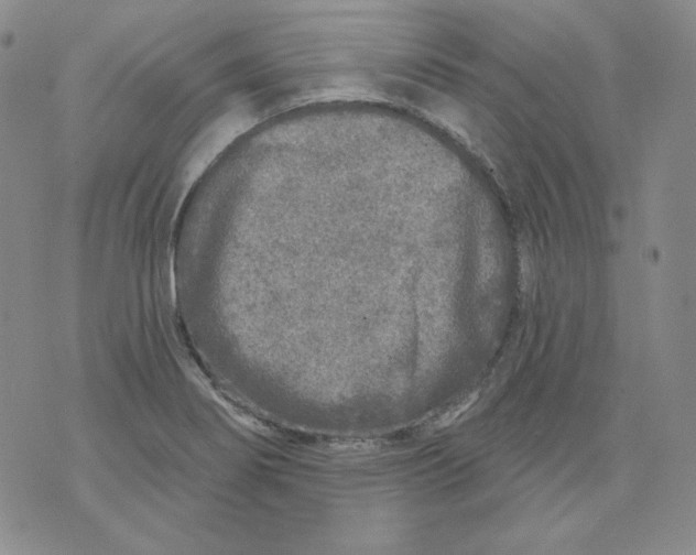 X0000071851274200607211843