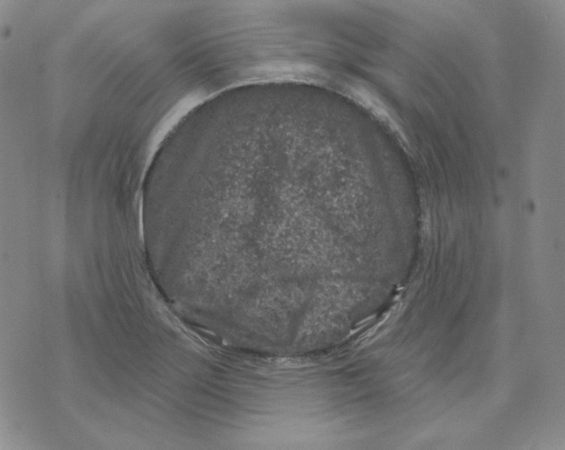 X0000071851275200607211843