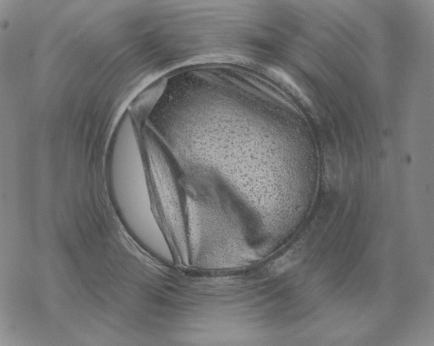 X0000071851276200607211843