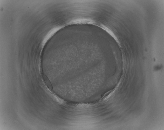 X0000071851277200607211843