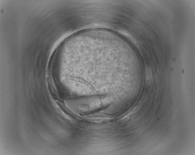 X0000071851278200607211843