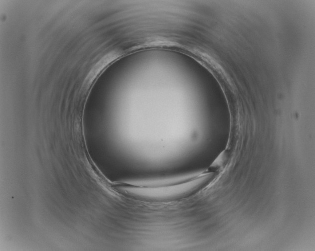 X0000071851281200607211843