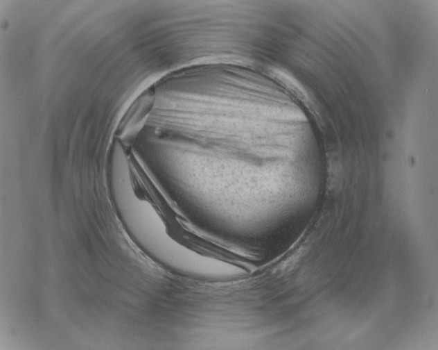 X0000071851284200607211843