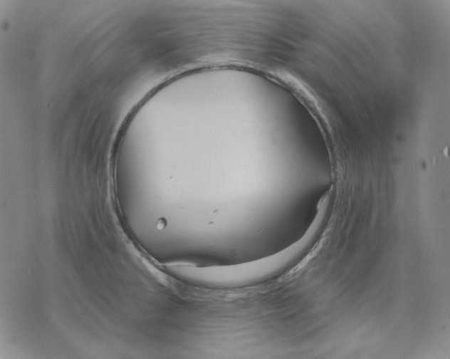 X0000071851286200607211843