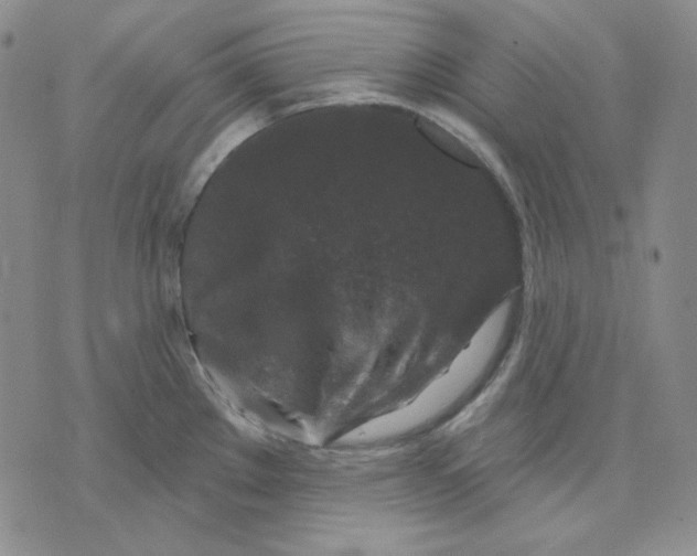 X0000071851289200607211843