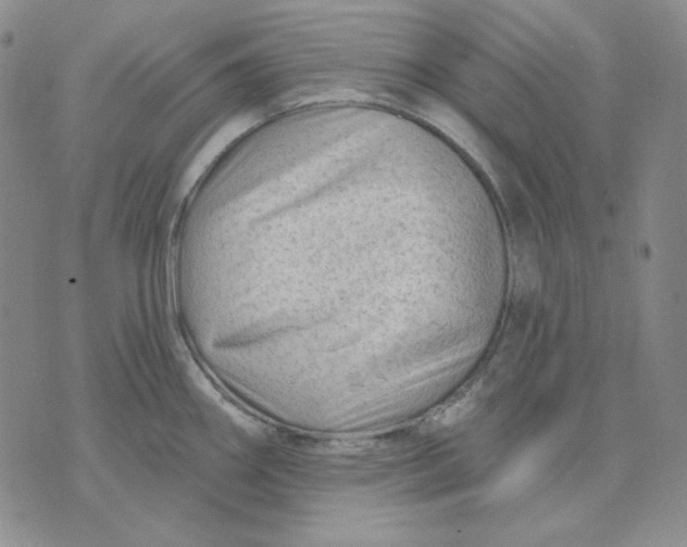 X0000071851290200607211843