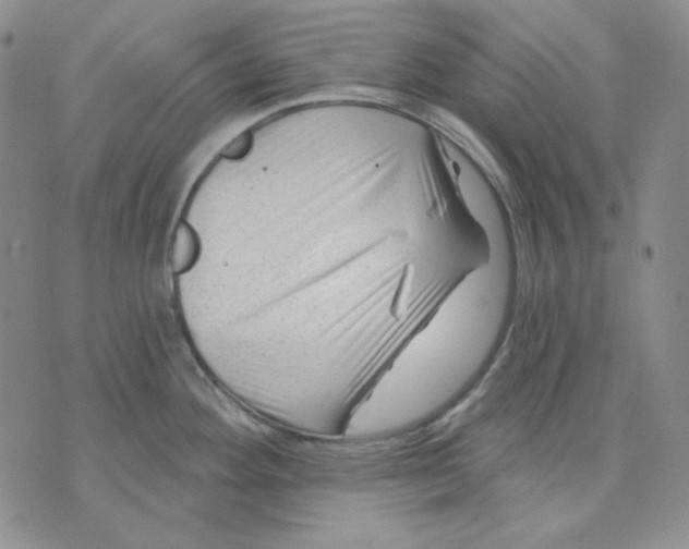 X0000071851292200607211843