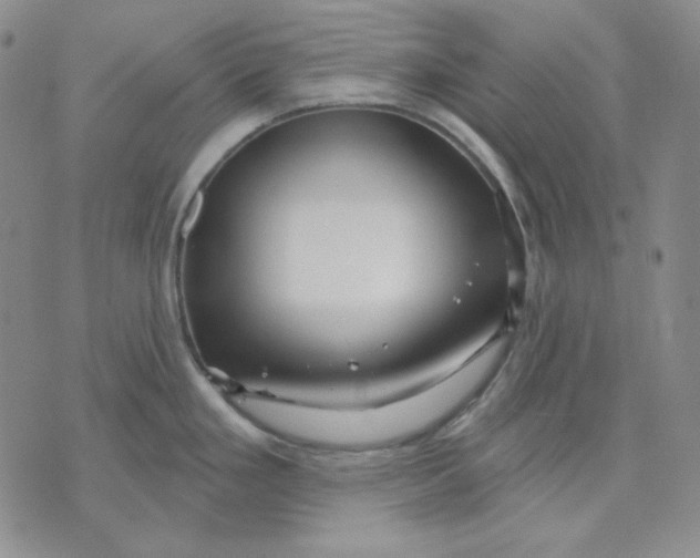 X0000071851293200607211843