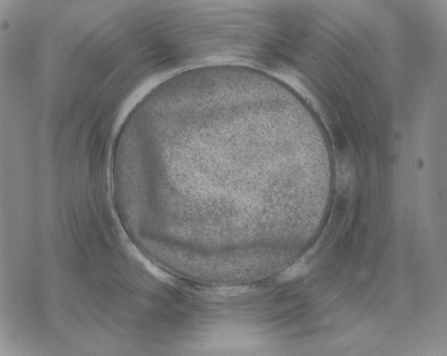 X0000071851294200607211843