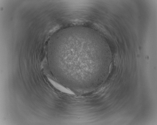 X0000071851298200607211842