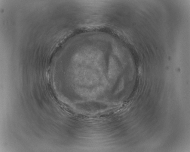 X0000071851300200607211842