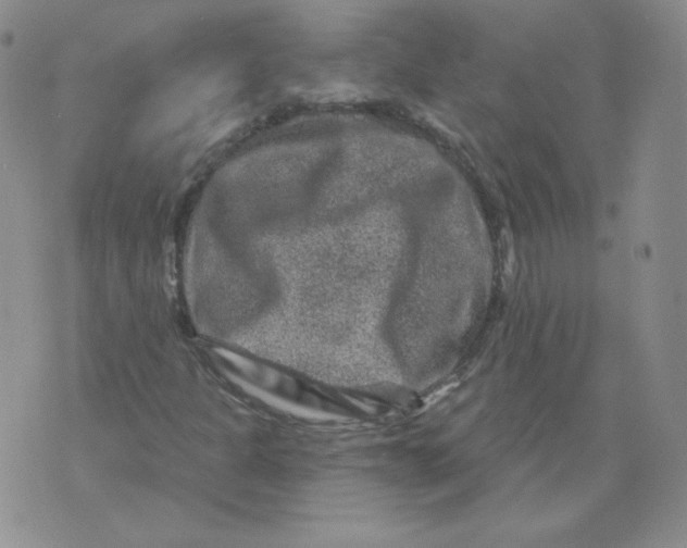 X0000071851301200607211842