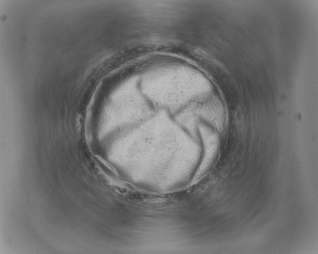 X0000071851302200607211842